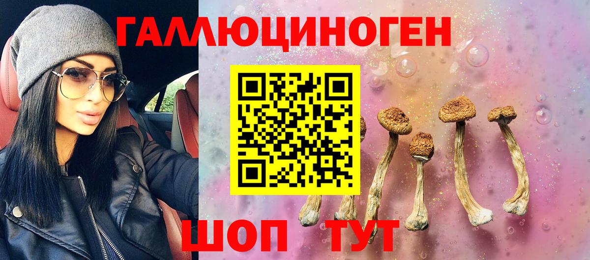 Псилоцибиновые грибы MAGIC MUSHROOMS Новоуральск