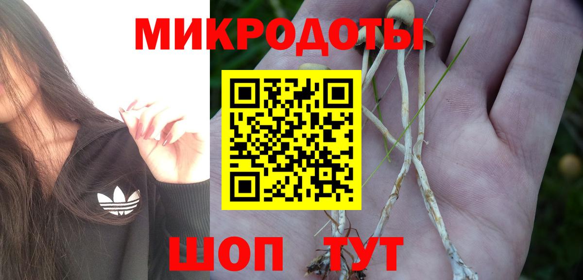Галлюциногенные грибы Magic Shrooms  Вход с VPN  Псилоцибиновые грибы GOLDEN TEACHER  Новоуральск 