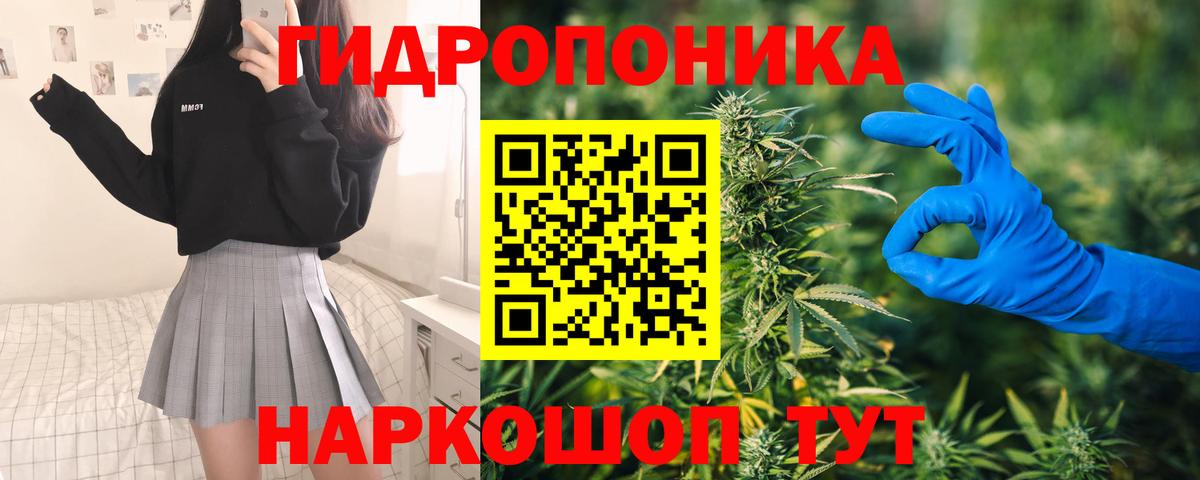 Шишки марихуана конопля Новоуральск